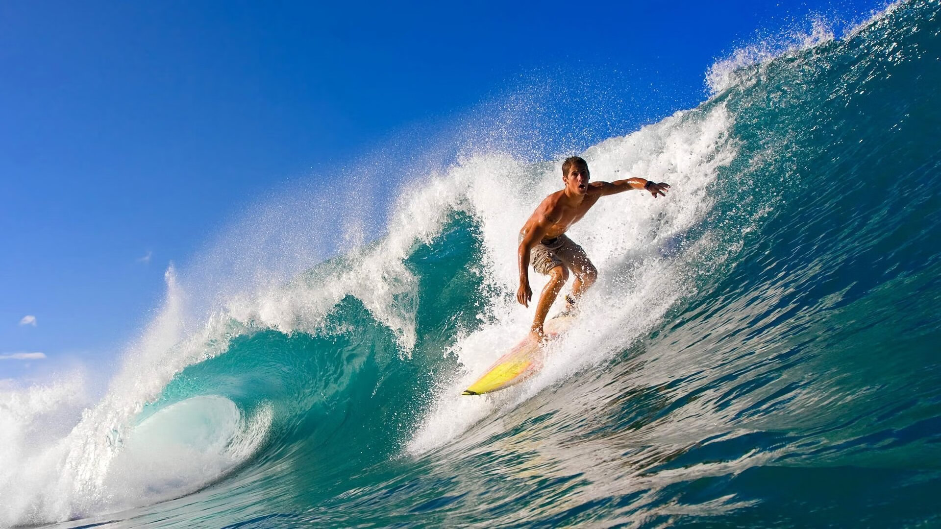 跳水赛中南非男队展现沉稳心态，东南亚跳水比赛
