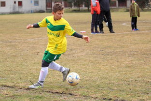 地方青训中心是否存在资源浪费问题，青训在哪里